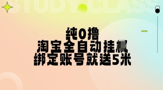 纯0撸，淘宝全自动挂