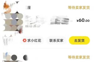 闲鱼无货源电商无脑搬运，利润一单几十块，赚了几十w