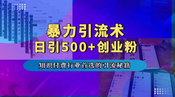 暴力引流术