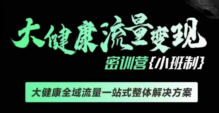大健康变现课