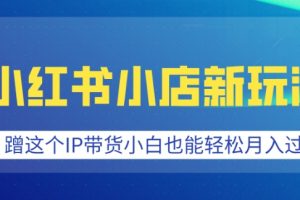 小红书小店新玩法，蹭这个IP带货，小白也能轻松月入过W