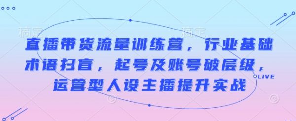 直播带货流量训练营，起号及账号破层级，运营型人设主播提升实战