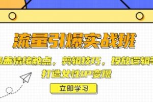 流量引爆实战班，剪辑技巧，投放逻辑等，打造女性IP变现