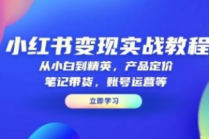 小红书变现实战教程，从小白到精英，定价，带货，账号运营等