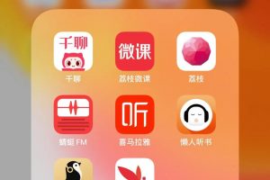 [音频精准引流]日引百粉，音频精准引流，容易上手，5分钟学会，适用于各行业！