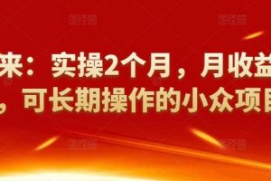 [小众项目]祖小来：实操2个月，月收益2万+，可长期操作的小众项目