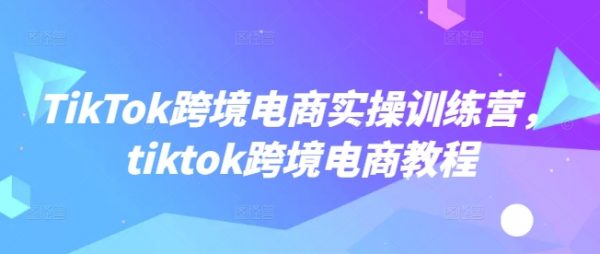tiktok跨境电商教程