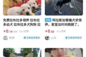 [闲鱼引流]网赚项目：一个闲鱼引流，微信成交的绝对暴利项目！