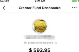 [玩转Tiktok]手把手教你普通人如何玩转Tiktok，一个月赚了592美金！