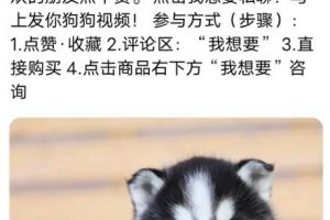 [宠物领养引流]宠物领养引流，朋友圈周边变现