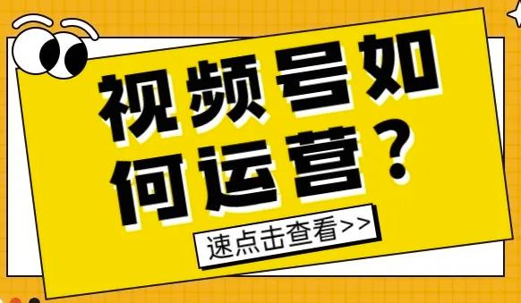 [视频号如何快速涨粉]新手做视频号如何快速涨粉？分享四大实用方法插图
