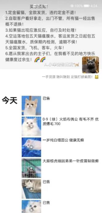 [闲鱼引流]网赚项目：一个闲鱼引流，微信成交的绝对暴利项目！插图3