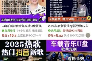 拼多多虚拟资料U盘项目，单店月入5000+，详细教程