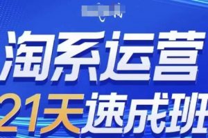 淘系运营21天速成班(更新25年3月)，0基础轻松搞定淘系运营，不做假把式
