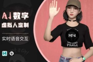 Ai数字人虚拟(智能体)实时语音交互特训营，​自行定制超写实角色AI数字人交互技术