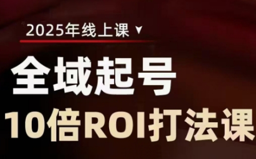 全域起号10倍ROI打法课