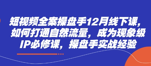 短视频全案操盘手