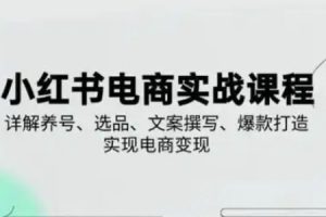 小红书从0-1实操课(2023-2025)，详解养号、选品、文案撰写、爆款打造实现电商变现