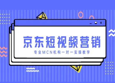京东短视频营销项目