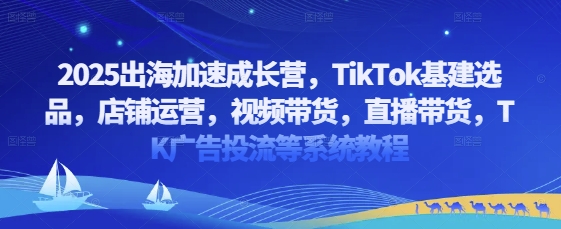 TikTok基建选品