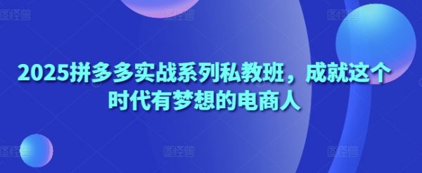 拼多多实战系列私教班