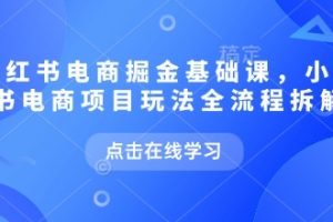 小红书电商掘金课，小红书电商项目玩法全流程拆解（更新7月）
