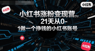 小红书涨粉变现营