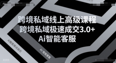 跨境私域线上高级课程
