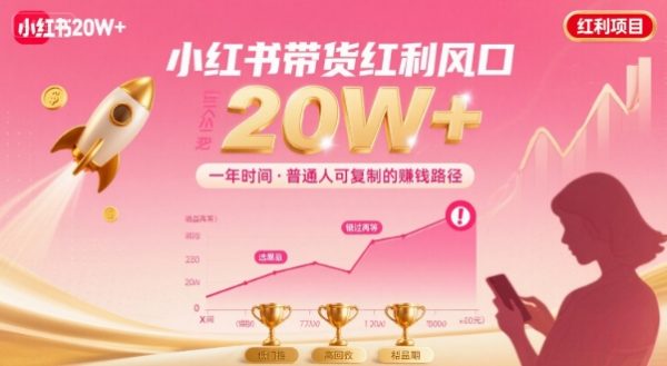 一年时间靠小红书带货项目年入20w+，最不能错的大红利项目插图