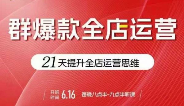 贾真电商群爆款全店运营