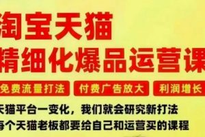 淘宝天猫精细化爆品运营课，免费流量打法-付费广告放大-利润增长-三大核心痛点，一次全部解决