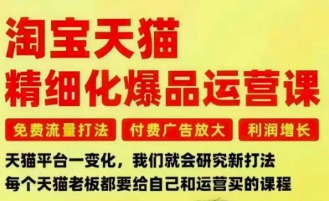 淘宝天猫精细化爆品运营课,免费流量打法-付费广告放大-利润增长-三大核心痛点,一次全部解决插图 淘宝天猫精细化爆品运营课,免费流量打法-付费广告放大-利润增长-三大核心痛点,一次全部解决插图