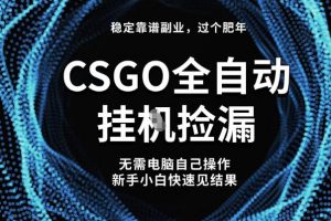 【稳定副业】全球最热门游戏CSGO全自动捡漏，最新玩法，新手小白日入5张+