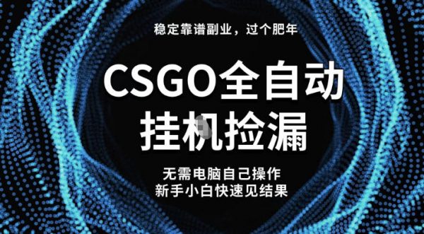 【稳定副业】全球最热门游戏CSGO全自动捡漏，最新玩法，新手小白日入5张+插图