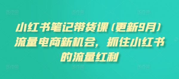 小红书笔记带货课(更新25年12月)流量电商新机会,抓住小红书的流量红利插图 小红书笔记带货课(更新25年12月)流量电商新机会,抓住小红书的流量红利插图
