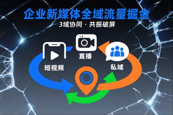 短视频全域商业模式，企业新媒体全域流量掘金，3域协同，共振破屏，短视频-直播-私域-地域插图