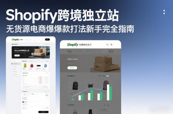 Shopify跨境独立站无货源电商爆款打法新手完全指南插图