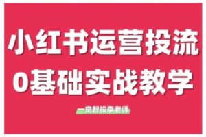 小红书运营投流，小红书广告投放从0到1的实战课，学完即可开始投放（更新26年）