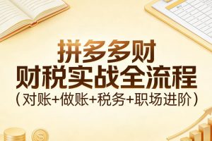 拼多多财税实战全流程（对账+做账+税务+职场进阶）