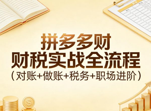 拼多多财税实战全流程（对账+做账+税务+职场进阶）插图
