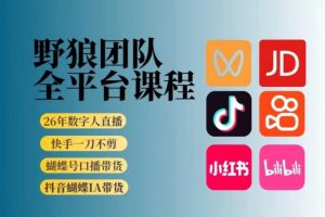 野狼团队2026新版全平台短视频带货教学，打开流量突破口，开始Ai带货（更新26年3月20日）